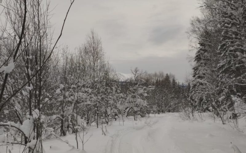 Снегоходный путь фото Гребенников А.В.