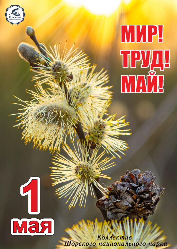 Поздравляем с праздником Весны и Труда!!!
