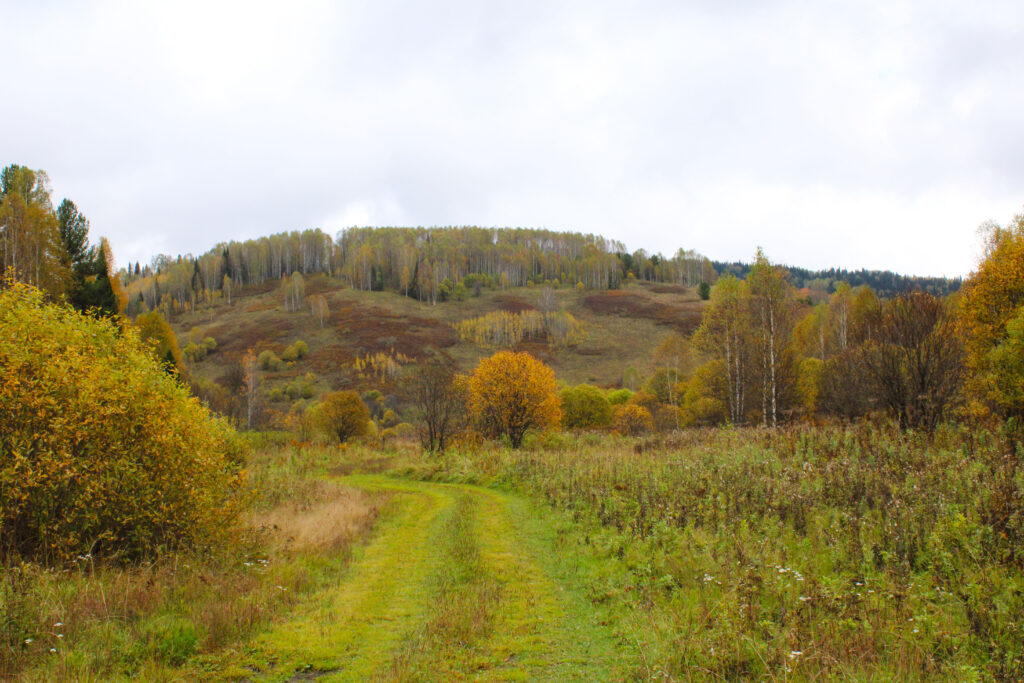Осенние краски Шорского национального парка